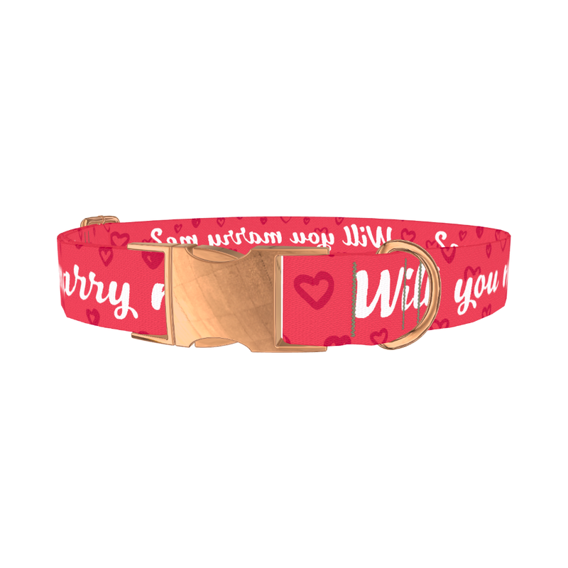 Heart Phrase Dog Collar - metal rose gold