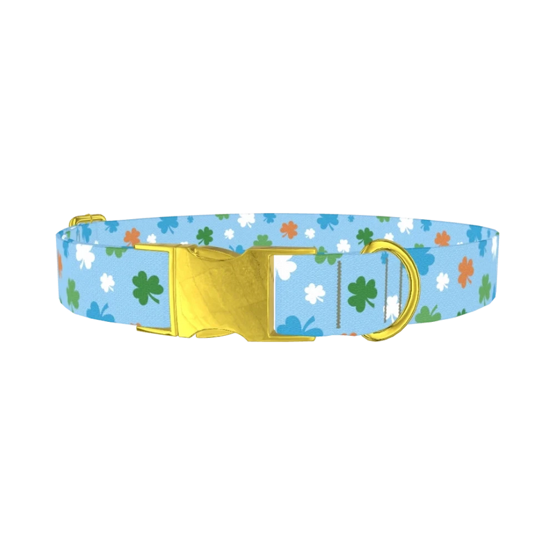 Colorful Clover Dog Collar - metal gold