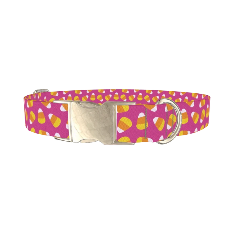 Pink Candy Corn Dog Collar - metal silver