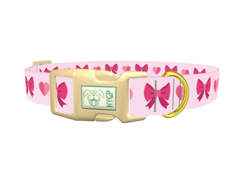 Heart Ribbon Dog Collar