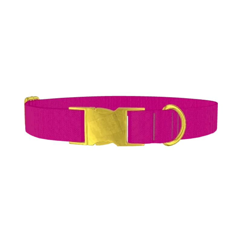 Snappy Violet Color Dog Collar - metal gold