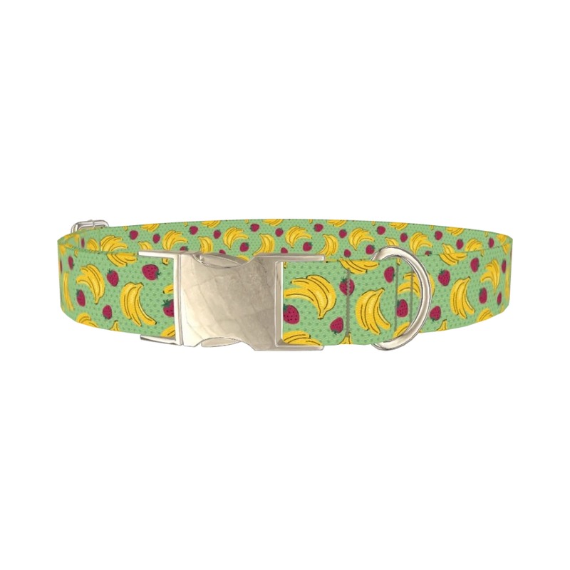 Fruit Pattern Dog Collar - metal silver