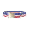 Patriotic Stars Dog Collar - metal silver
