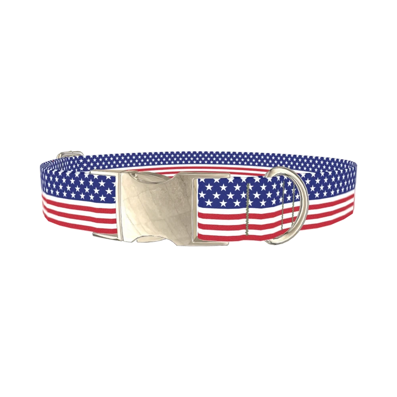 Patriotic Stars Dog Collar - metal silver