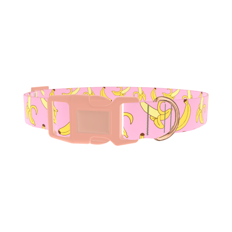 Pink Banana Pattern Dog Collar - plastic rose gold
