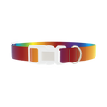 Rainbow Gradient Dog Collar - plastic silver
