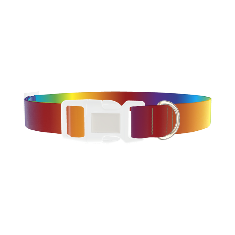 Rainbow Gradient Dog Collar - plastic silver