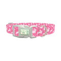 Easter Bunny Floral Dog Collar - plastic silver