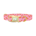 Pink Grapefruit Dog Collar - plastic gold