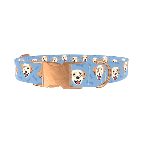 LABRADOR_BLUE