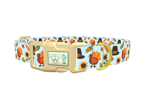 Thanksgiving Turkey Dog Collar
