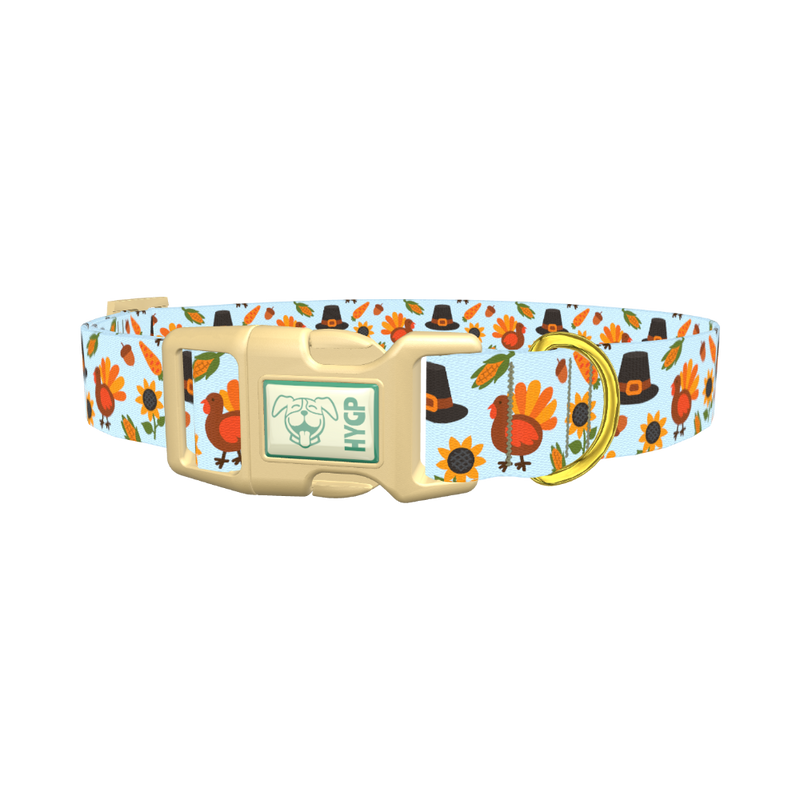 Thanksgiving Turkey Dog Collar - plastic gold
