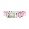 Halloween Skulls and Bats Dog Collar - plastic rose gold