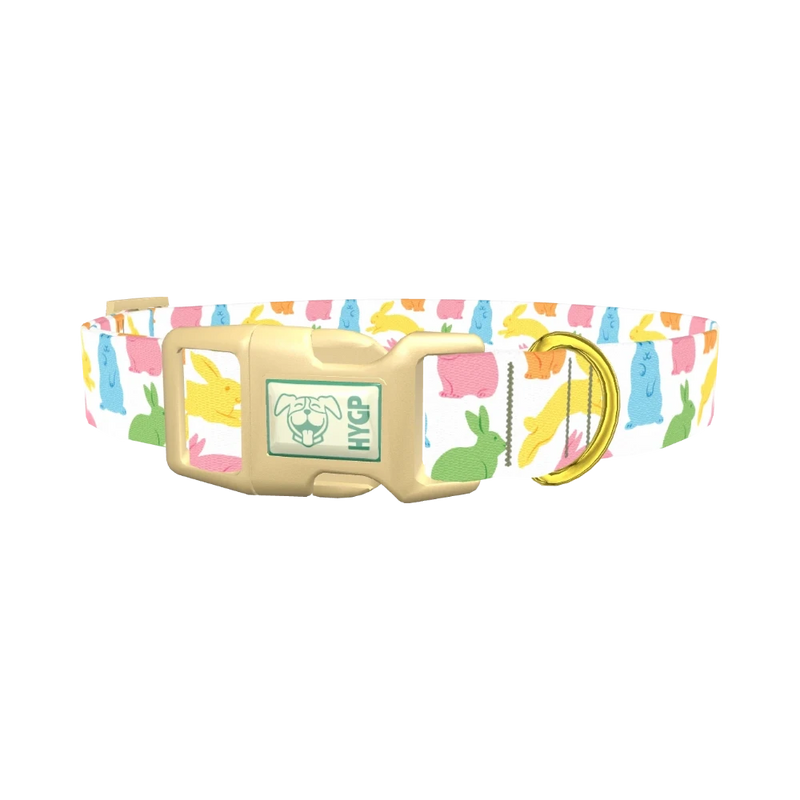 Colorful Easter Bunny Dog Collar - plastic gold