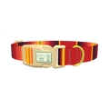 Mexican Red Stripe Dog Collar - plastic gold