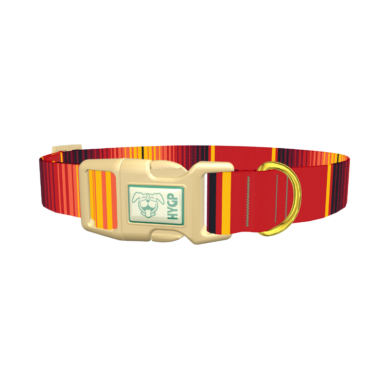 Mexican Red Stripe Dog Collar - plastic gold