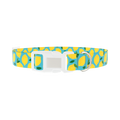 Blue Lemon Pattern Dog Collar - plastic silver