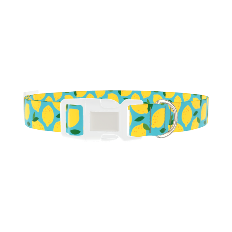Blue Lemon Pattern Dog Collar - plastic silver