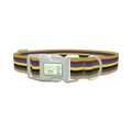 Color Stripe Dog Collar - plastic silver