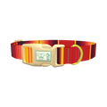 Mexican Red Stripe Dog Collar - plastic gold