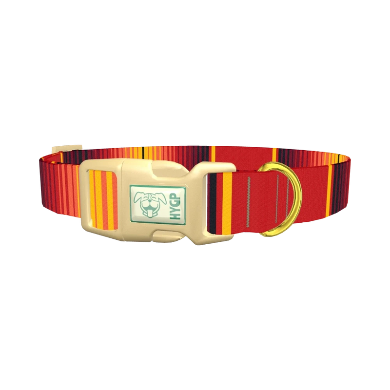 Mexican Red Stripe Dog Collar - plastic gold