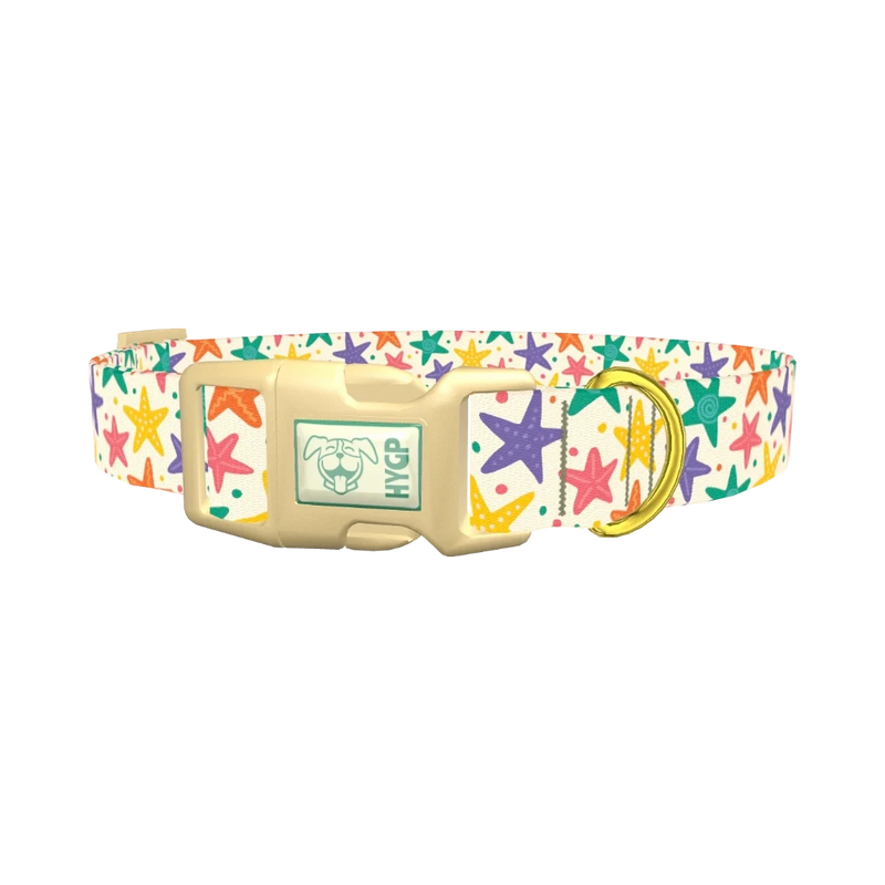 Starfish Mix Dog Collar - plastic gold