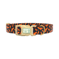 Orange Halloween Bat Pattern Dog Collar - plastic silver