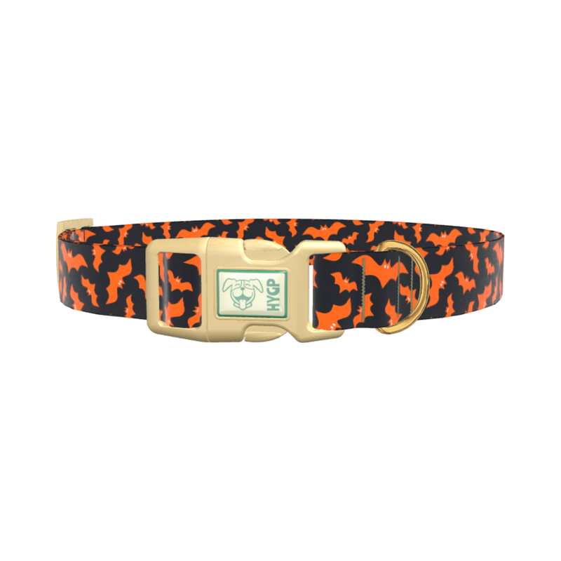 Orange Halloween Bat Pattern Dog Collar - plastic silver