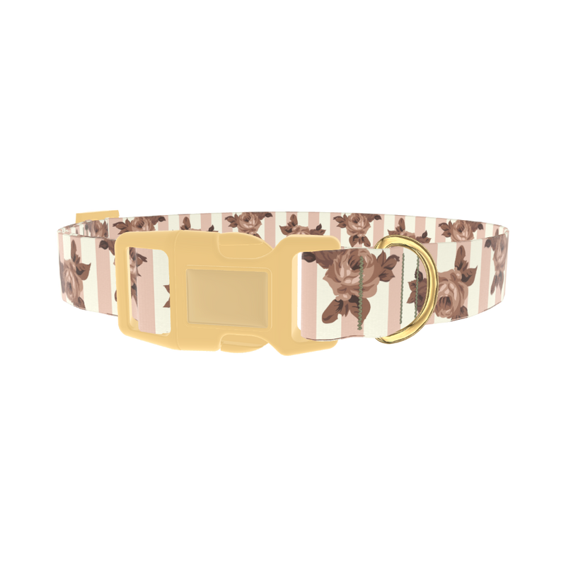 Floral Stripe Dog Collar - plastic gold
