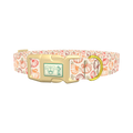 Fall Pumpkin Outline Dog Collar - plastic gold
