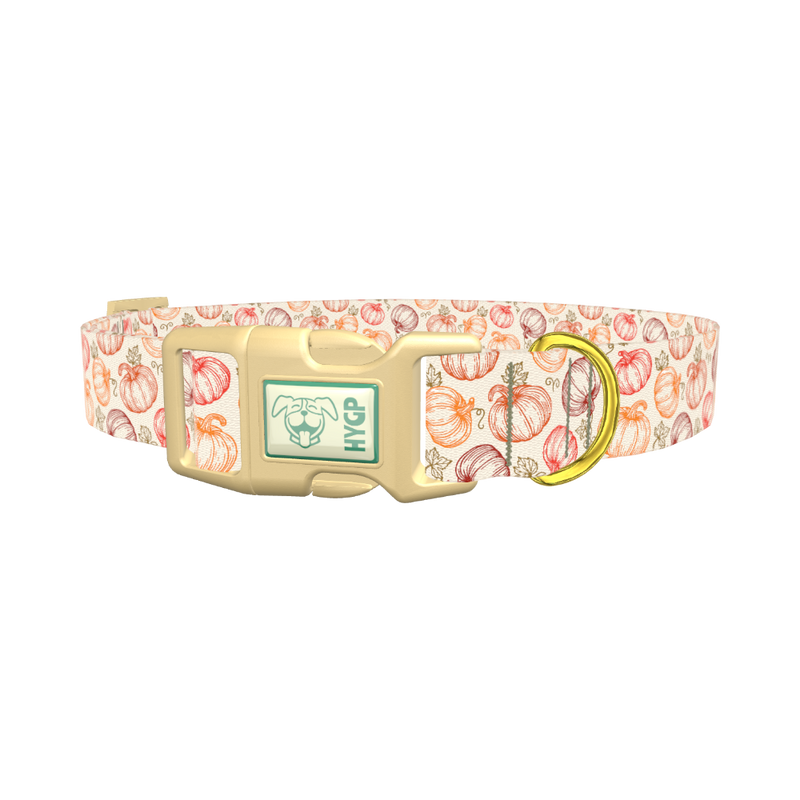 Fall Pumpkin Outline Dog Collar - plastic gold