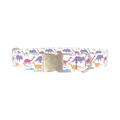 Colorful Dinosaur Dog Collar - metal silver