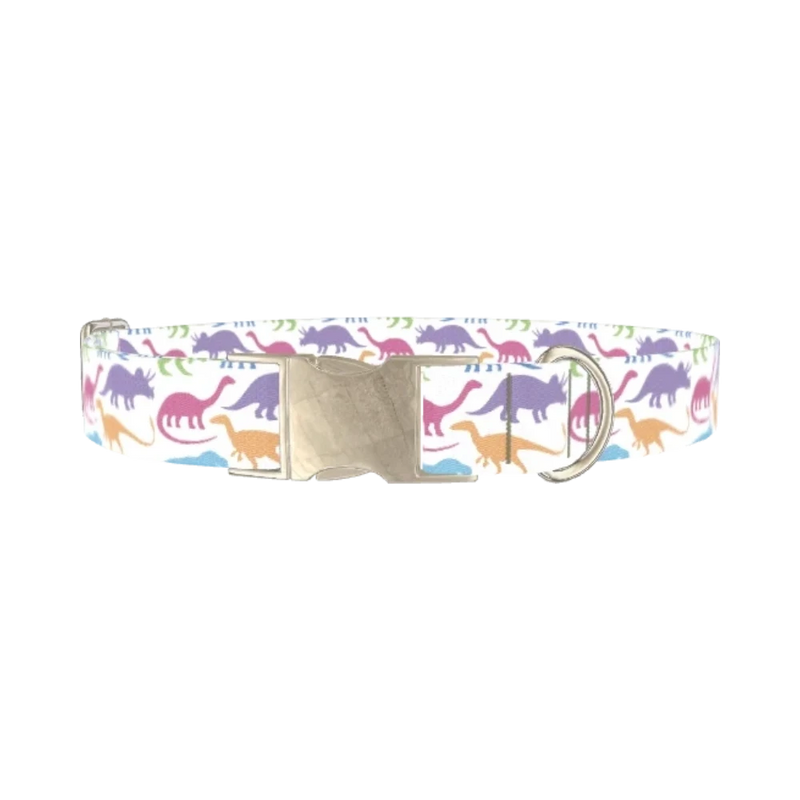 Colorful Dinosaur Dog Collar - metal silver