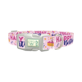 Birthday Cake Celebration Dog Collar - plastic silver