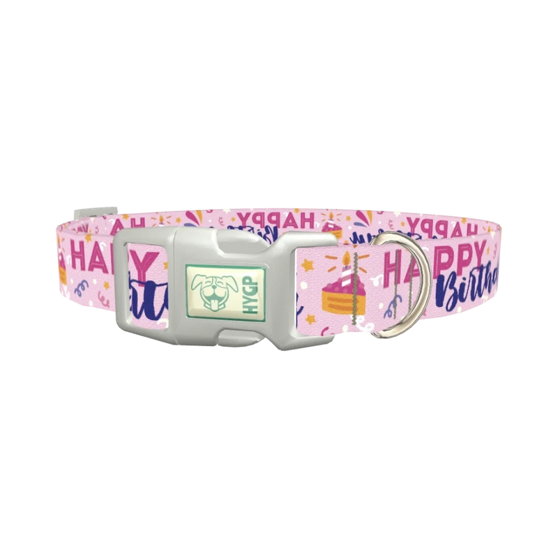 Birthday Cake Celebration Dog Collar - plastic silver