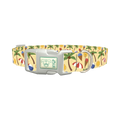 Beach Summer Dog Collar - plastic silver