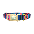 Geometric Star Stripe Dog Collar - plastic gold