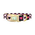 Valentine Heart Stripe Dog Collar - plastic gold