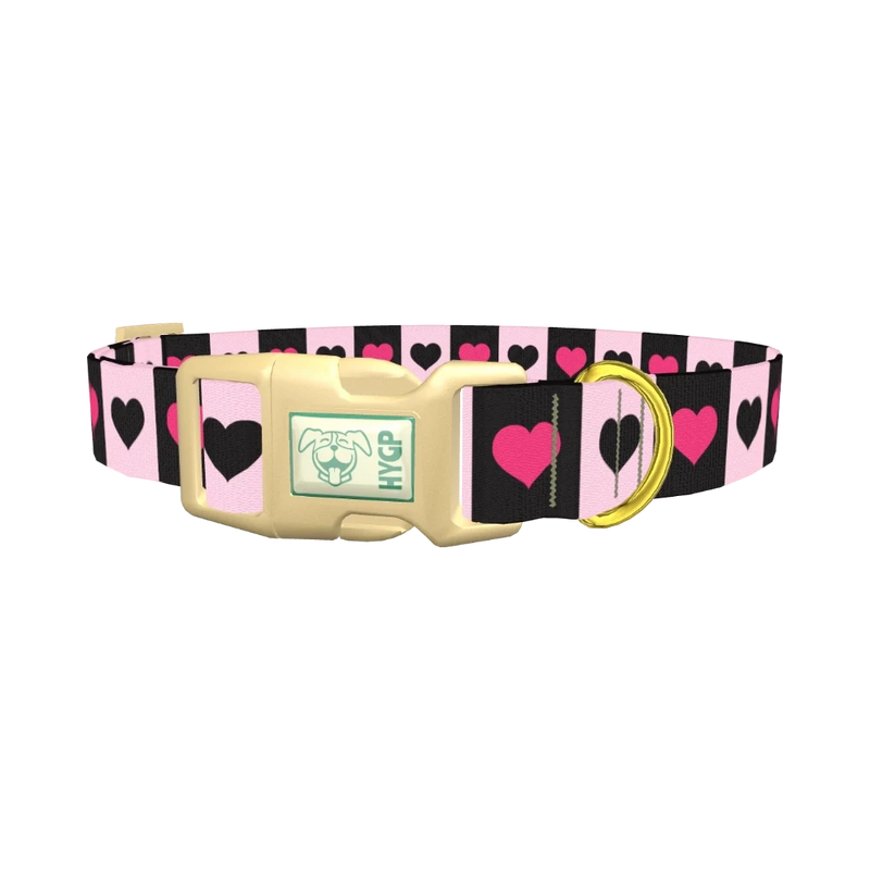 Valentine Heart Stripe Dog Collar - plastic gold