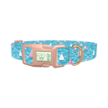 Sailboat Ocean Dog Collar - plastic rose gold