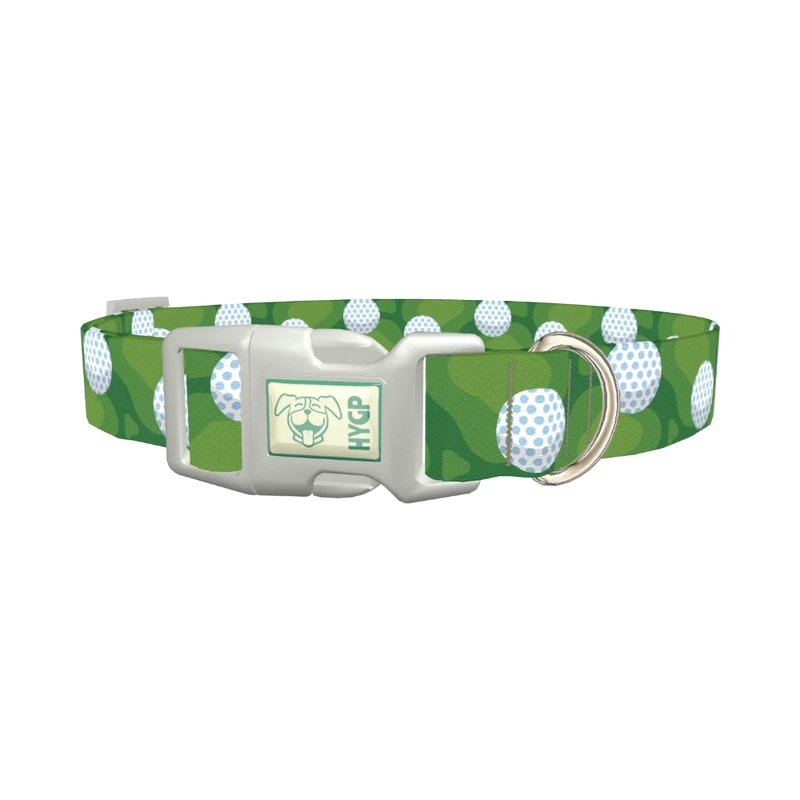 Golf Course Dog Collar - plastic silver