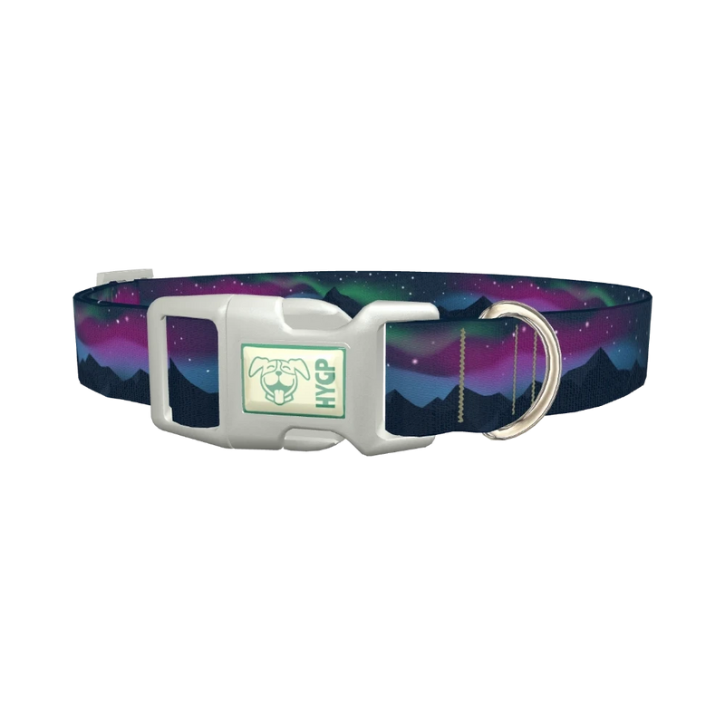 Northern Lights Dog Collar - plastic silver