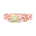 Valentine Heart Bike Dog Collar - plastic gold