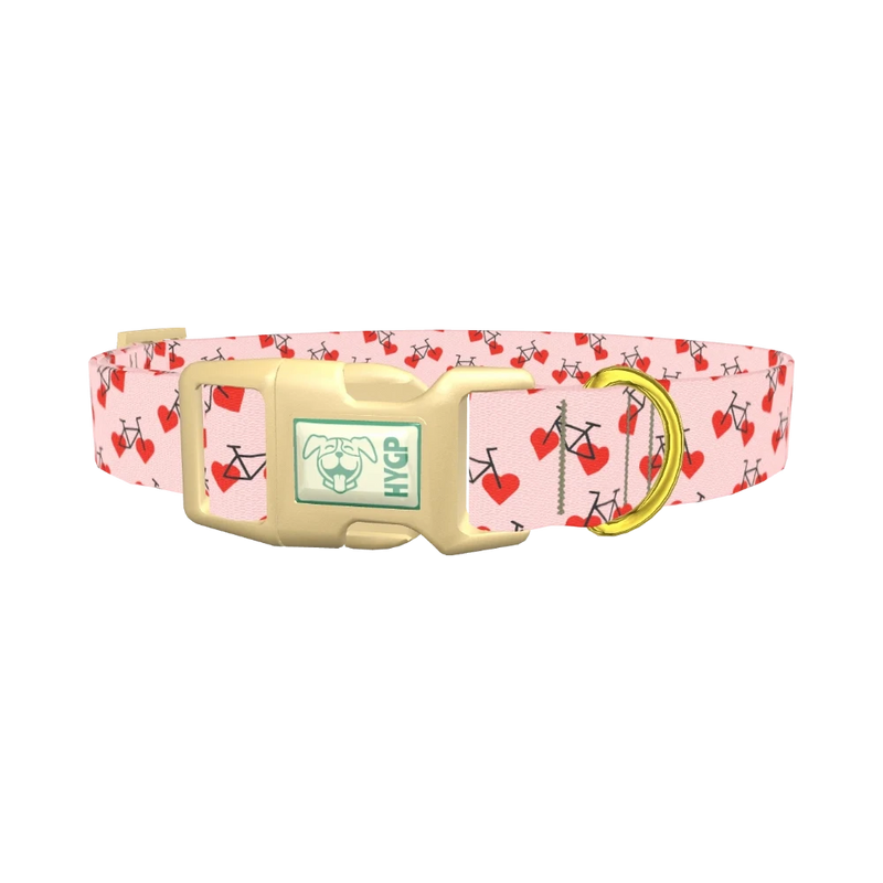 Valentine Heart Bike Dog Collar - plastic gold