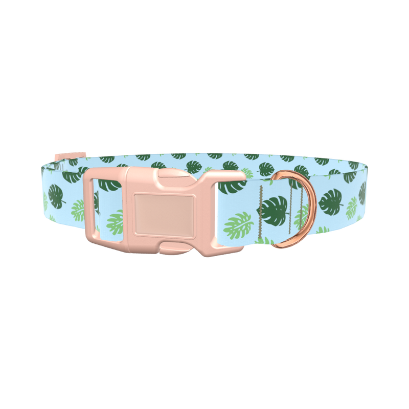 Monstera Leaf Dog Collar - plastic gold
