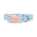 Surfing Dogs Blue Dog Collar - plastic gold