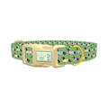 Green Dachshund Sweater Dog Collar - plastic gold