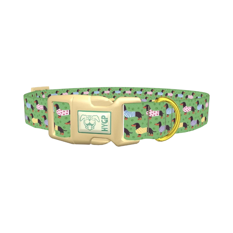 Green Dachshund Sweater Dog Collar - plastic gold
