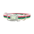 Multicolor Stripe Dog Collar - plastic silver