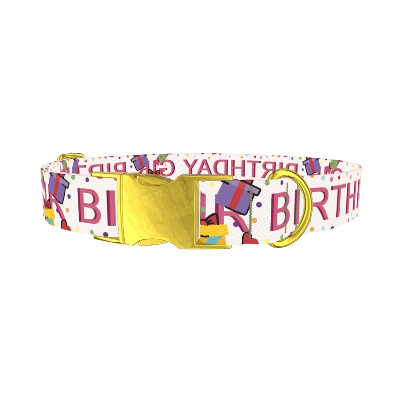 Birthday Celebration Dog Collar - metal gold